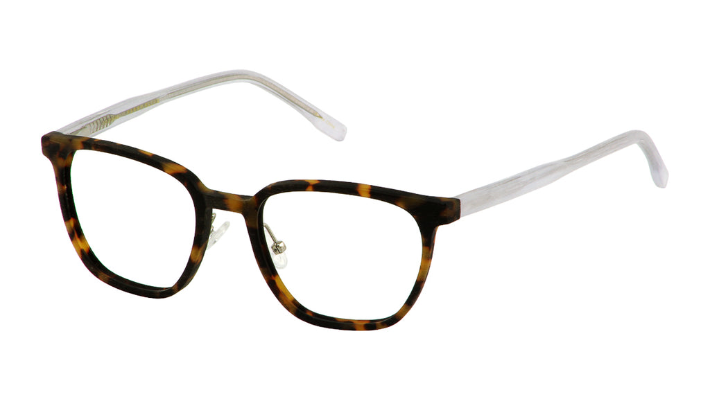 PE 410 – EyewearDesigns